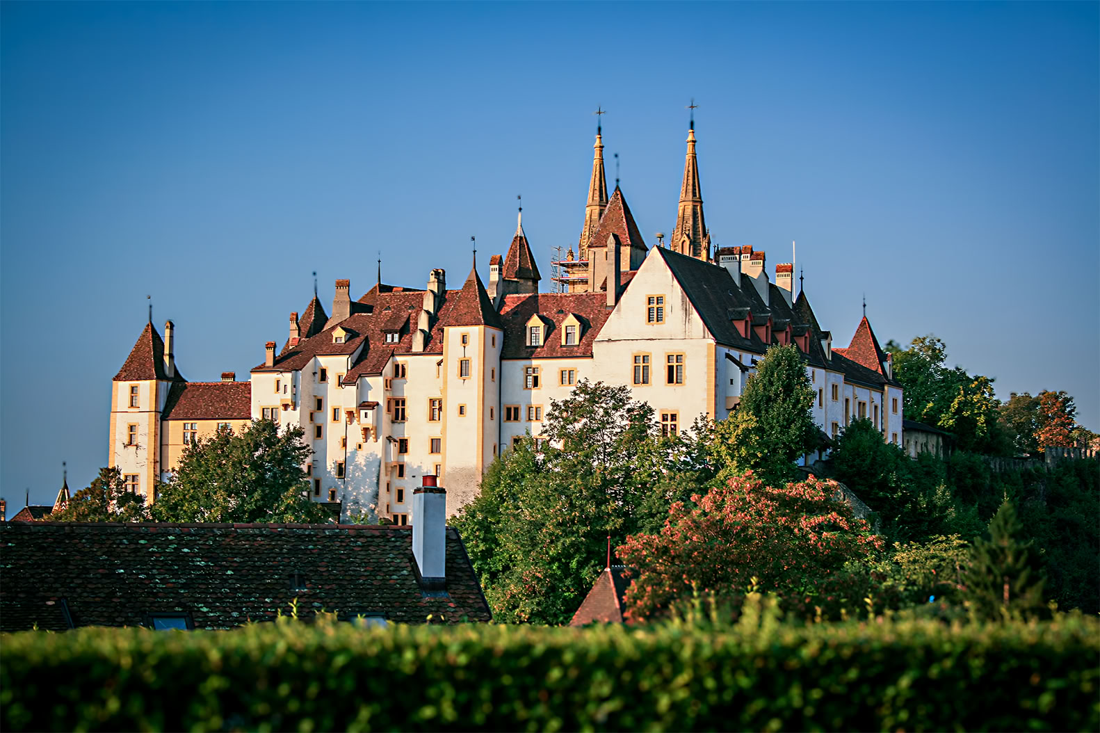 Collègues Se Serrant La Main