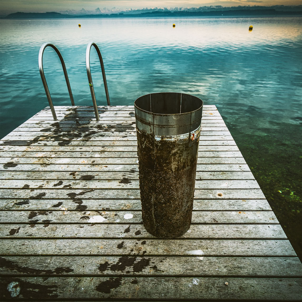Crépine hors de l'eau, posée sur une plateforme en bois, colonisée par la moule quagga, lac de Neuchâtel, vue sur les aples suisse.
